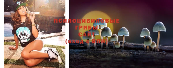 индика Белоозёрский