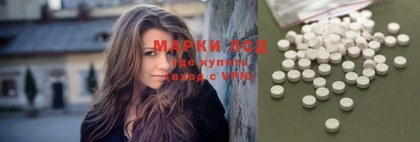 крисы Белокуриха