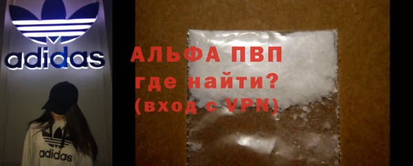 индика Белоозёрский