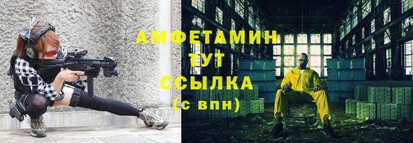 индика Белоозёрский