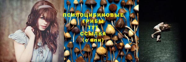 индика Белоозёрский